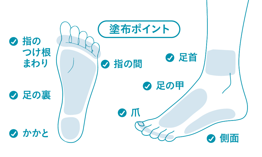 カカるるん　塗布ポイント